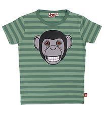 DYR T-shirt - Growl - Saga/Rover Khaki