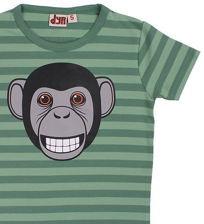 DYR T-shirt - Growl - Saga/Rover Khaki