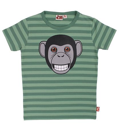 DYR T-shirt - Growl - Saga/Rover Khaki