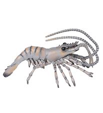 Papo Reje - L: 9 cm Papo Reje - L: 9 cm