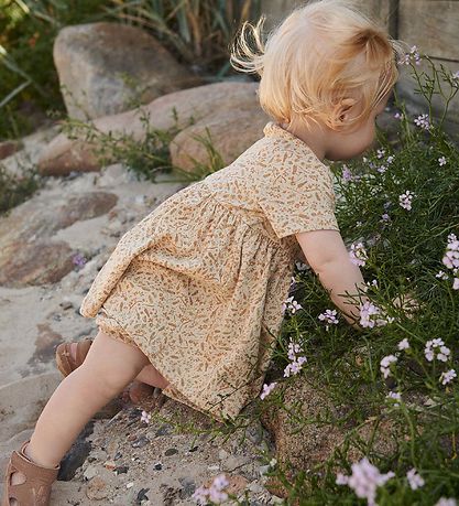 Wheat Kjole - Nova - Grasses And Seeds