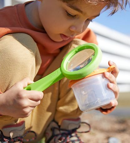 HABA Terra Kids Legetøj - Insektglas