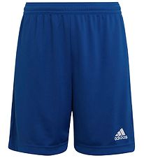 adidas Performance Shorts - Blå/Hvid adidas Performance Shorts - Blå/Hvid