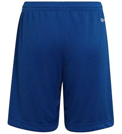 adidas Performance Shorts - Blå/Hvid