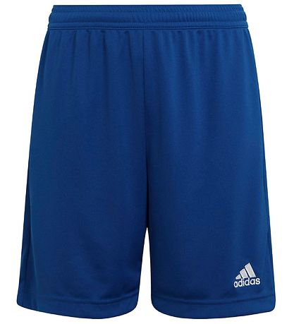 adidas Performance Shorts - Blå/Hvid adidas Performance Shorts - Blå/Hvid