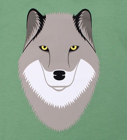 DYR T-shirt - Growl - Sage