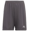 adidas Performance Shorts - Entrada 22 - Grå