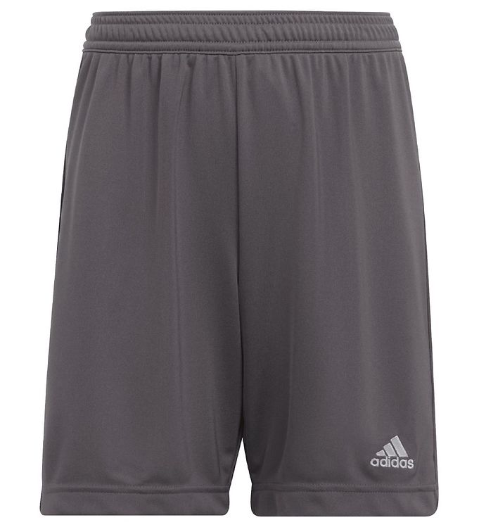adidas Performance Shorts - Entrada 22 - Grå