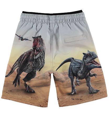 Molo Badeshorts - UV50+ - Neal - Dino Scenery Molo Badeshorts - UV50+ - Neal - Dino Scenery