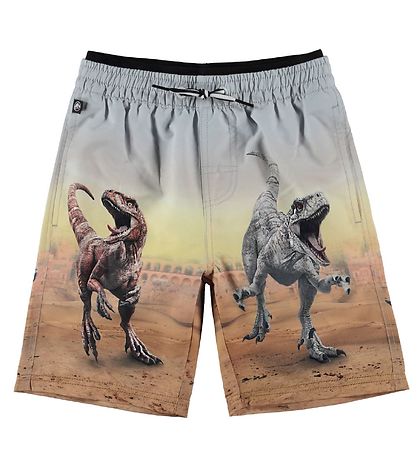 Molo Badeshorts - UV50+ - Neal - Dino Scenery Molo Badeshorts - UV50+ - Neal - Dino Scenery