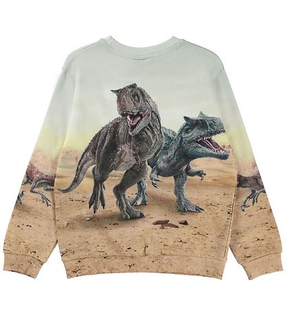 Molo Sweatshirt - Miksi - Dinos Galore Molo Sweatshirt - Miksi - Dinos Galore