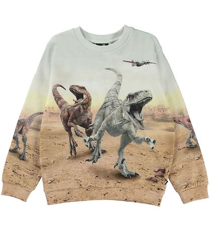 Molo Sweatshirt - Miksi - Dinos Galore Molo Sweatshirt - Miksi - Dinos Galore
