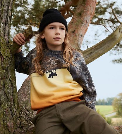 Molo Sweatshirt - Mattis - Climber Molo Sweatshirt - Mattis - Climber