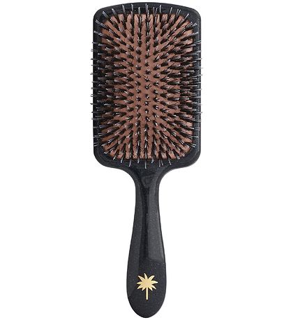 Fan Palm Hårbørste - Large - Big Star