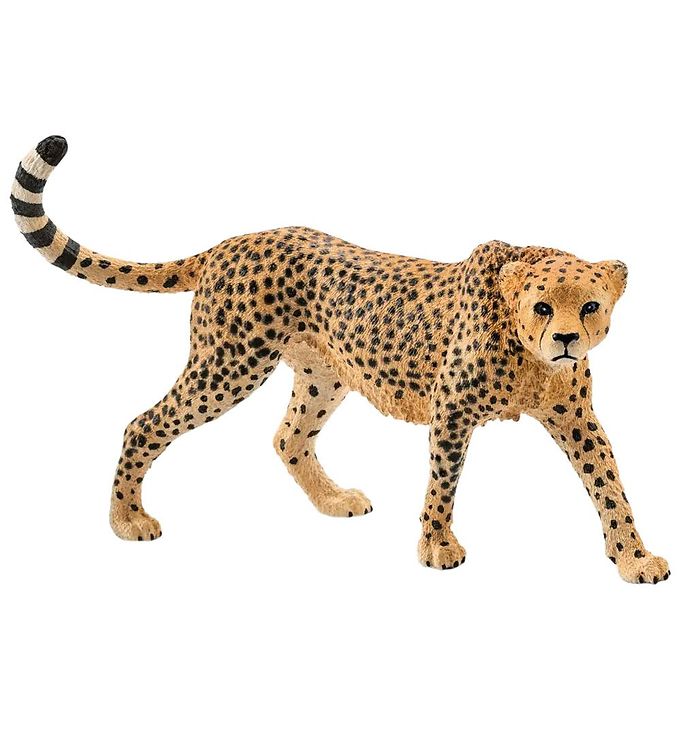 Schleich Wild Life - H: 5 cm - Gepard 14746