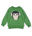DYR Sweatshirt - DYRBellow - Fall Jungle Chimp