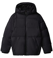 Calvin Klein Dunjakke - Puffer - BlackBlack