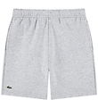 Lacoste Sweatshorts - Argent Chine Heater