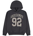 Abercrombie & Fitch  Hættetrøje - Phantom