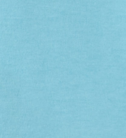 Champion T-shirt - Turkis
