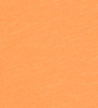 Champion T-shirt - Orange