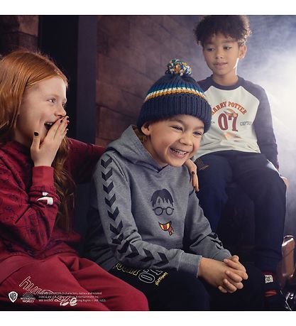 Sweat à Capuche Hummel - hmlHarry Potter Quatre - Gris Chiné av.