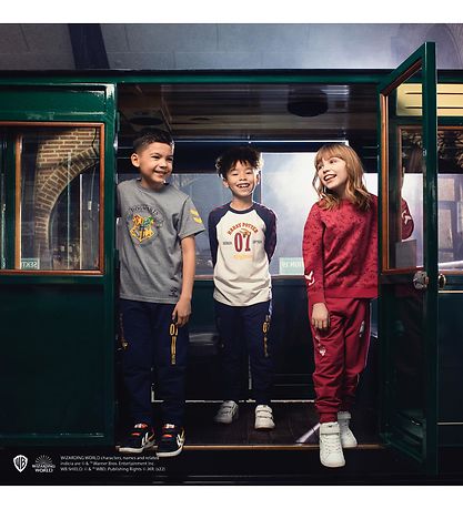Hummel Sweatpants - hmlHarry Potter - Black Iris m. Gul