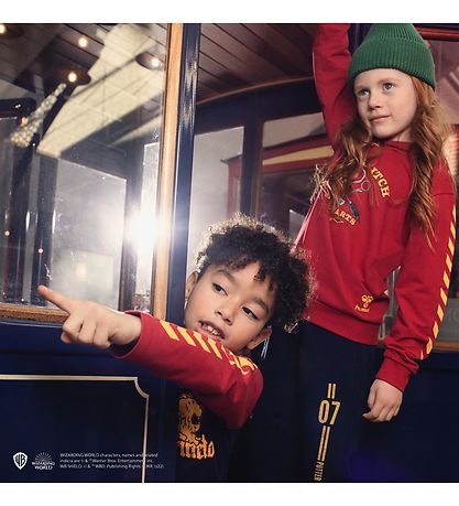 Hummel Bluse - hmlHarry Potter Boys - Scarlet Sage/Navy m. Print