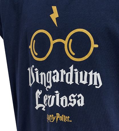 Hummel T-shirt - hmlHarry Potter Diez - Black Iris w. Gold Hummel T-shirt - hmlHarry Potter Diez - Black Iris w. Gold