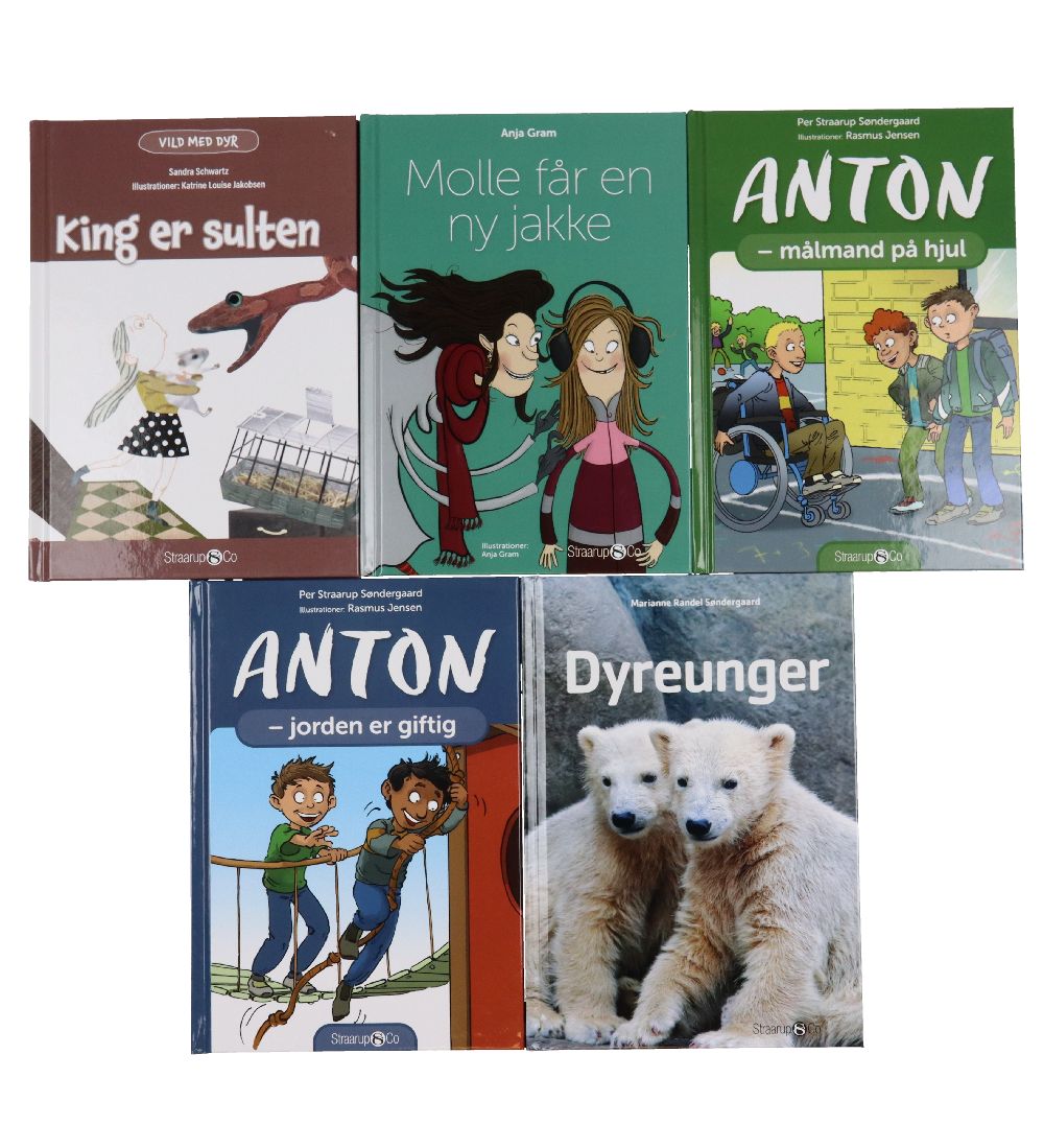 Straarup & Co-Buchpaket – 2. Klasse – Gemischt. - 5 Bücher - Straarup & Co - One Size - Bücher