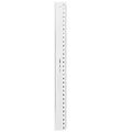 Linex Lineal - 30 cm - Gennemsigtig