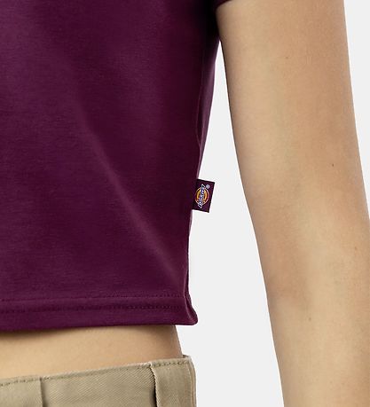Dickies T-shirt - Maple Valley - Grape Wine Dickies T-shirt - Maple Valley - Grape Wine