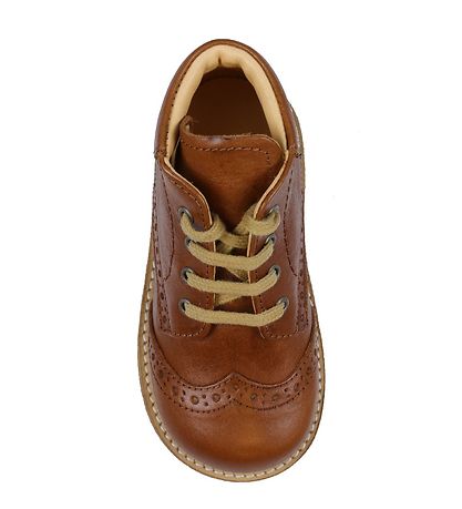 Angulus Begyndersko - Cognac Angulus Begyndersko - Cognac