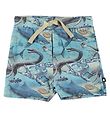 Molo Shorts - Simroy - Ancient Ocean Molo Shorts - Simroy - Ancient Ocean