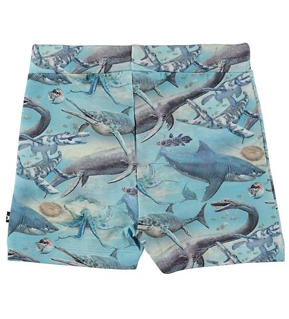 Molo Shorts - Simroy - Ancient Ocean Molo Shorts - Simroy - Ancient Ocean