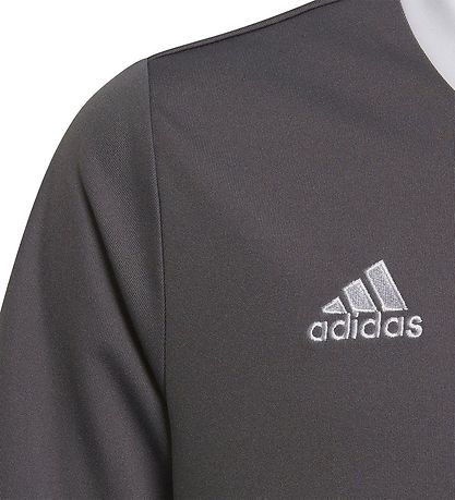 adidas Performance T-Shirt - ENT22 JSYY - Grå/Hvid