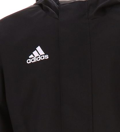 Veste adidas Performance - ENT22 - Noir Veste adidas Performance - ENT22 - Noir