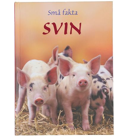 Gads Forlag Boek - Kleine weetjes - Varkens - Deens