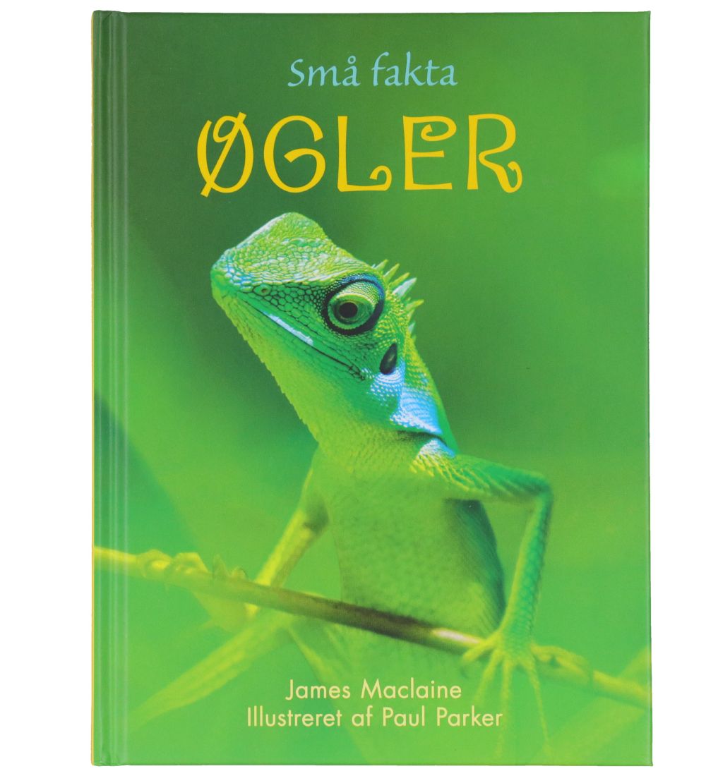Gads Forlag Buch - Kleine Fakten - Eidechsen - Dänisch - Gads Forlag - One Size - Bücher