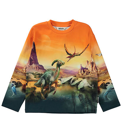 Molo Bluse - Mountoo - Dino Planet Molo Bluse - Mountoo - Dino Planet