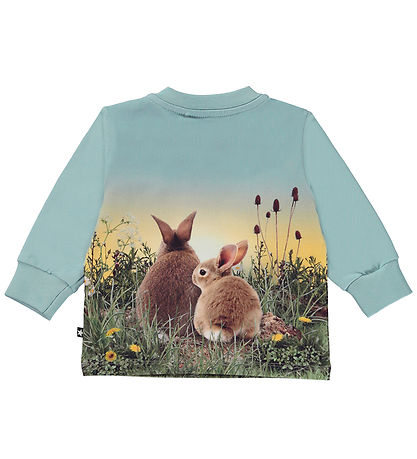 Molo Bluse - Eloy - Rabbit Life Molo Bluse - Eloy - Rabbit Life