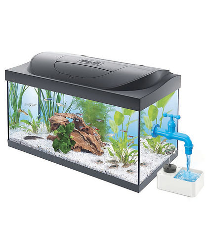 4M - Green Science - Magisk Vandhane 4M - Green Science - Magisk Vandhane