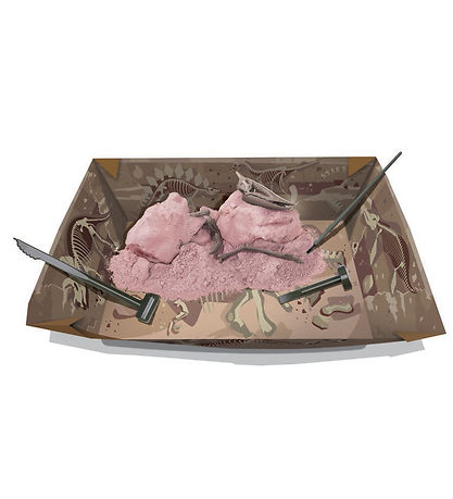 4M KidzLabs - Udgravning Pteranodon  4M KidzLabs - Udgravning Pteranodon