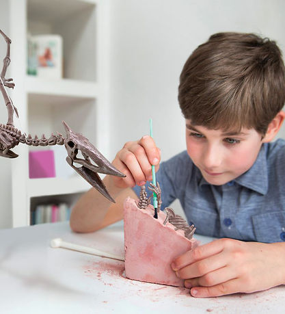4M KidzLabs - Udgravning Pteranodon 