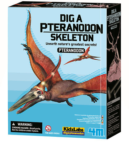 4M KidzLabs - Udgravning Pteranodon  4M KidzLabs - Udgravning Pteranodon