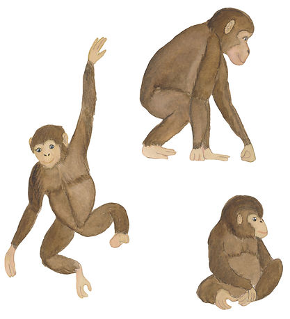 That's Mine Wallstickers - Monkeys - Multi That's Mine Wallstickers - Monkeys - Multi