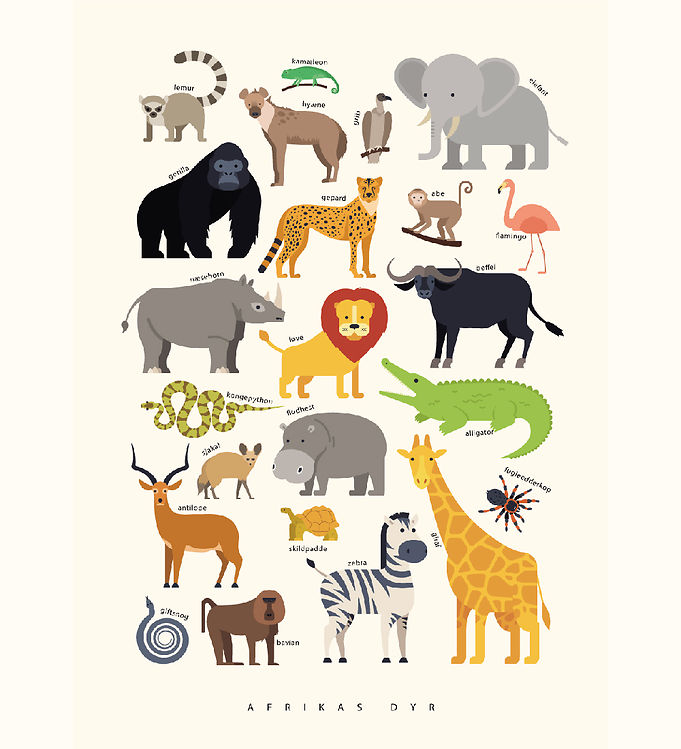Citatplakat Plakat - Børneplakat - Afrikas Dyr - A3