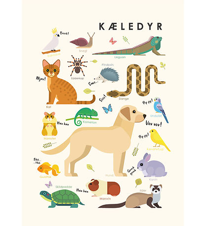 Citatplakat Plakat - Børneplakat - Kæledyr - A3 Citatplakat Plakat - Børneplakat - Kæledyr - A3