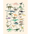 Citatplakat Plakat - Børneplakat - Dinosaurer II - A3 Citatplakat Plakat - Børneplakat - Dinosaurer II - A3