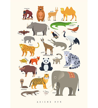 Citatplakat Plakat - Børneplakat - Asiens Dyr - A3 Citatplakat Plakat - Børneplakat - Asiens Dyr - A3
